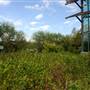 World Birding Center