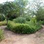 World Birding Center