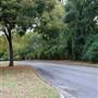 Cameron Park