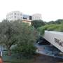 Texas State University