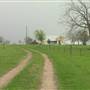 Maeshill Farm