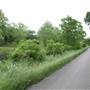 Creek Road