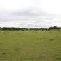 Storm Ranch