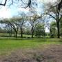 Harry Moss Park