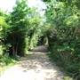 Seabrook Hike & Bike Trails