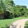 Robinson Park