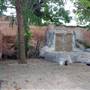 Museum Alonso