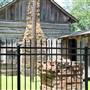 Freestone County Historical Museum