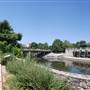 Roosevelt Park