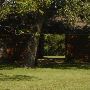 Old Settlers Association