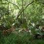 Palmetto State Park