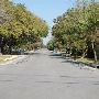 North East Street Neighborhood