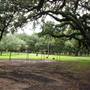 Le Tulle Park