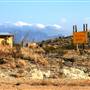 Terlingua Gallery