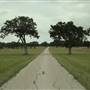 Cypress Ranch