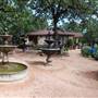 Hill Country Water Gardens & Nursery
