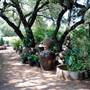 Hill Country Water Gardens & Nursery