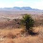Davis Mountains State Park