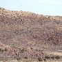 Davis Mountains State Park