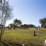 Manor City Cemetery