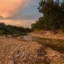 Langston's Crossing