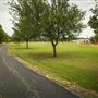 Pete's Path