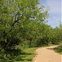 Historic Stagecoach Park