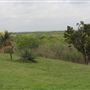 Mesquite Ranch
