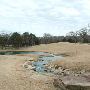 Hyatt Regency Lost Pines Resort & Spa - Wolfdancer Golf Club