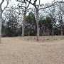 Hyatt Regency Lost Pines Resort & Spa - Wolfdancer Golf Club