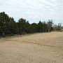 Hyatt Regency Lost Pines Resort & Spa - Wolfdancer Golf Club