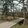 Hyatt Regency Lost Pines Resort & Spa - Wolfdancer Golf Club
