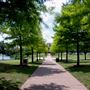 Mueller Lake Park