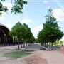 Mueller Lake Park