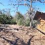 Buescher State Park