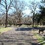 Buescher State Park