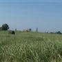 Schroeder Ranch