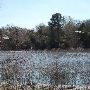 Buescher State Park