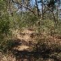 Buescher State Park
