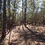 Buescher State Park