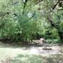 Olmos Basin