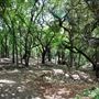 Judson Nature Trails