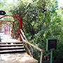 Incarnate Word College