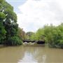 Brackenridge Park