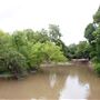 Brackenridge Park