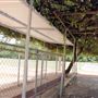 Brackenridge Park