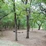 Brackenridge Park
