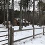 The Flying H Ranch