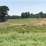 The Flying H Ranch