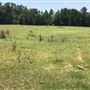 The Flying H Ranch